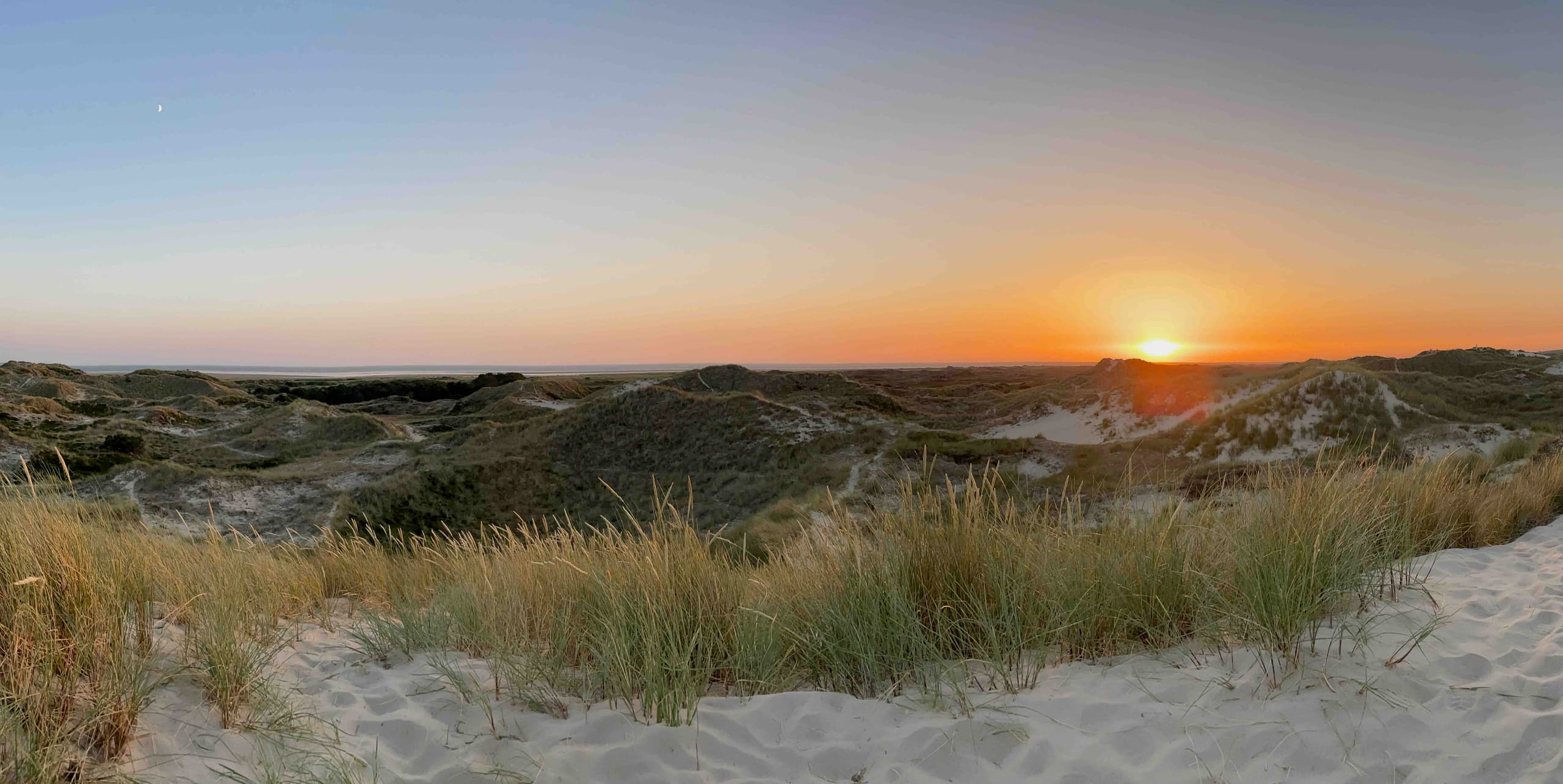Fanø — Dünen bei Sonnenuntergang